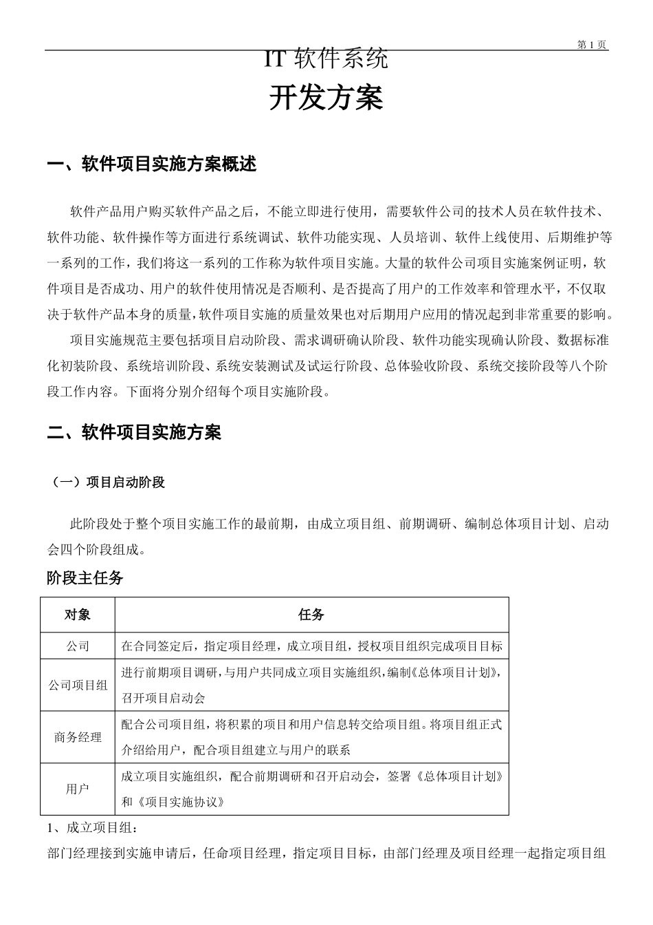 IT软件系统开发方案_第1页