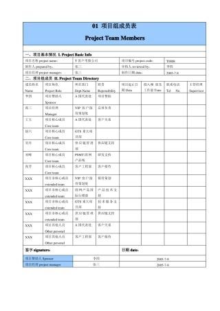 IT项目管理模板通用