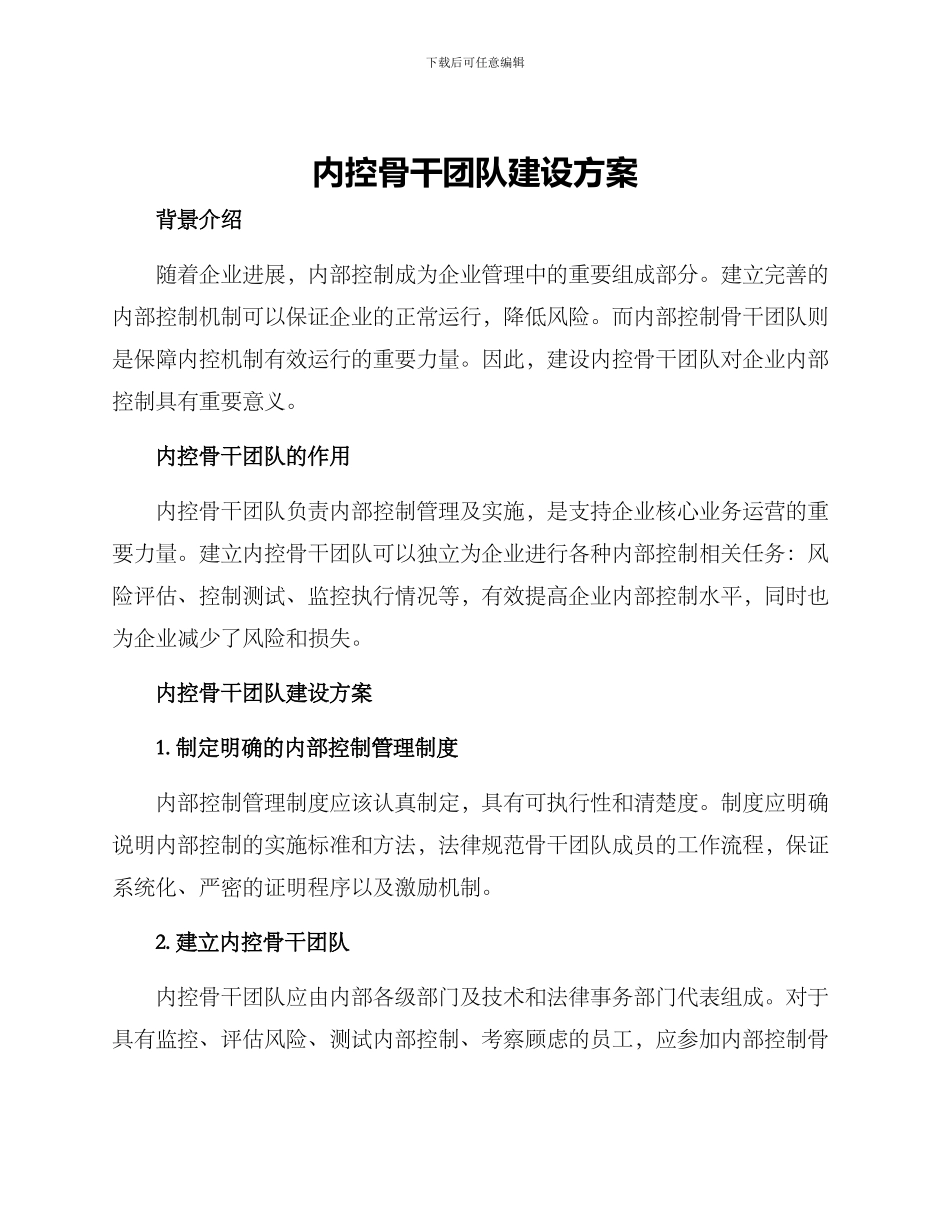 内控骨干团队建设方案_第1页