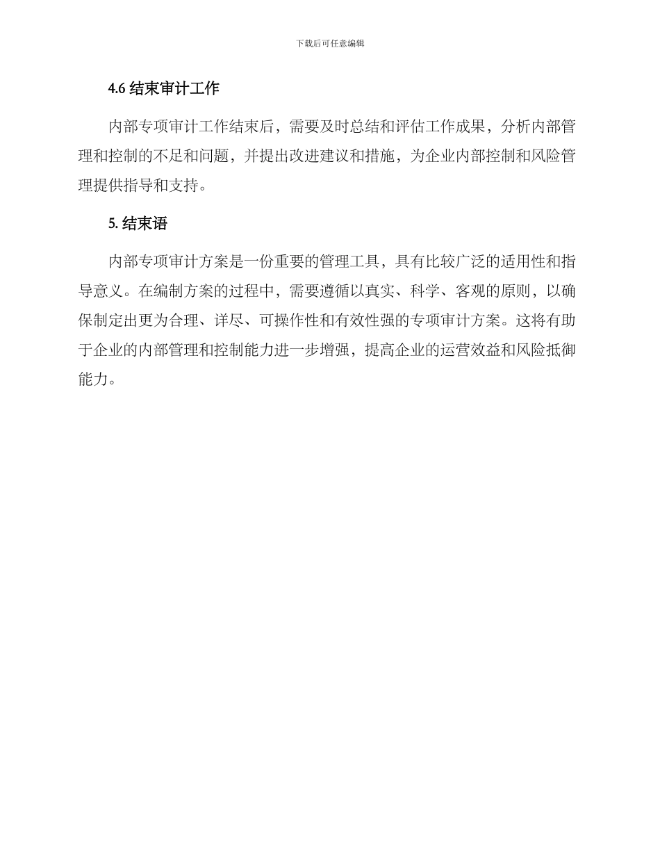 内部专项审计方案_第3页