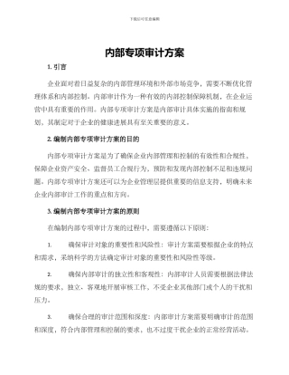 内部专项审计方案