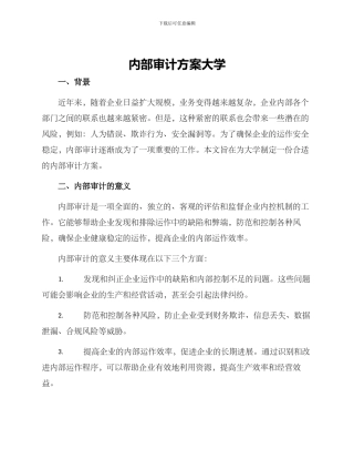 内部审计方案大学