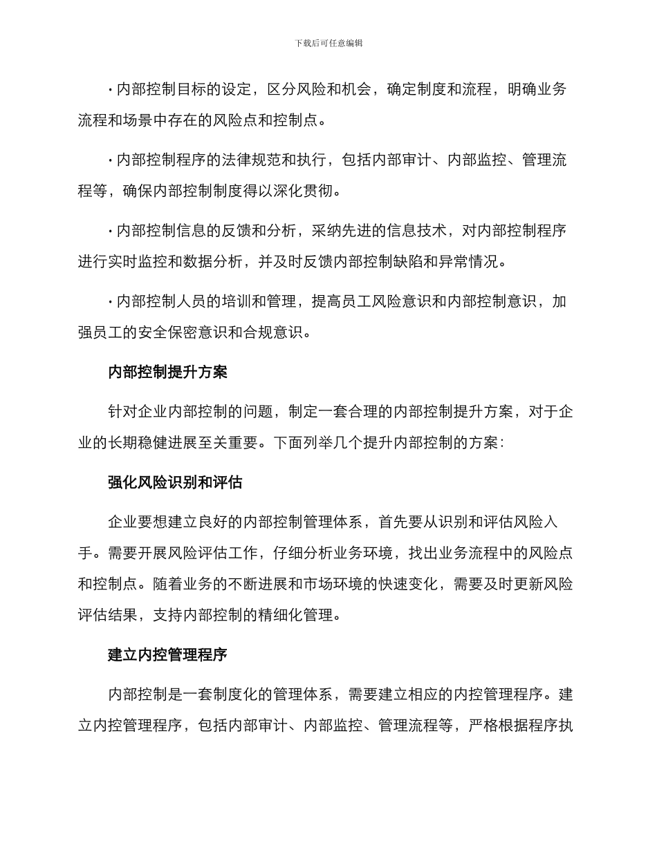 内部控制提升方案_第2页
