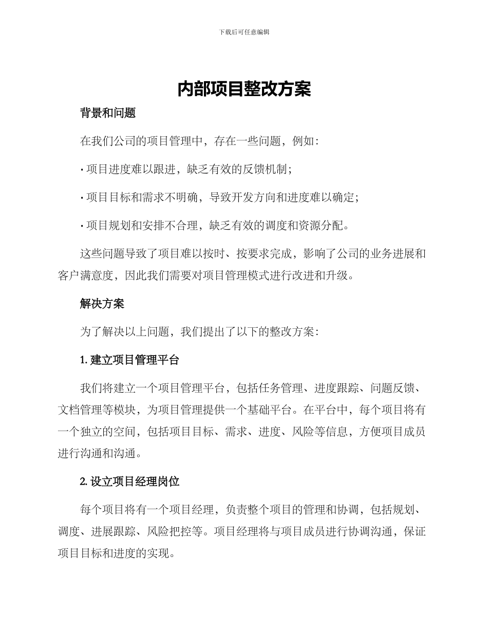 内部项目整改方案_第1页