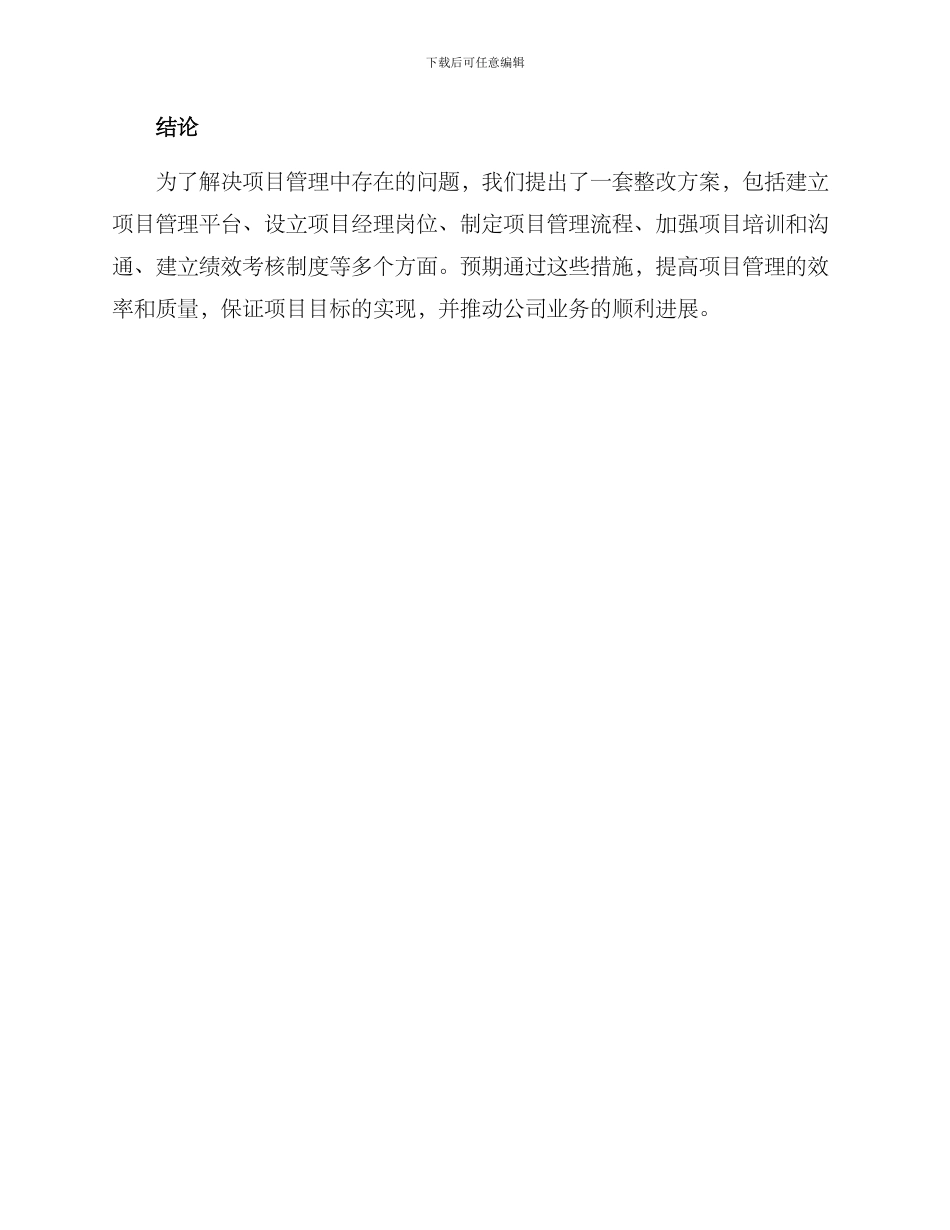 内部项目整改方案_第3页