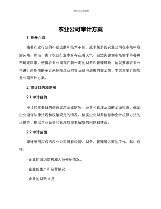 农业公司审计方案