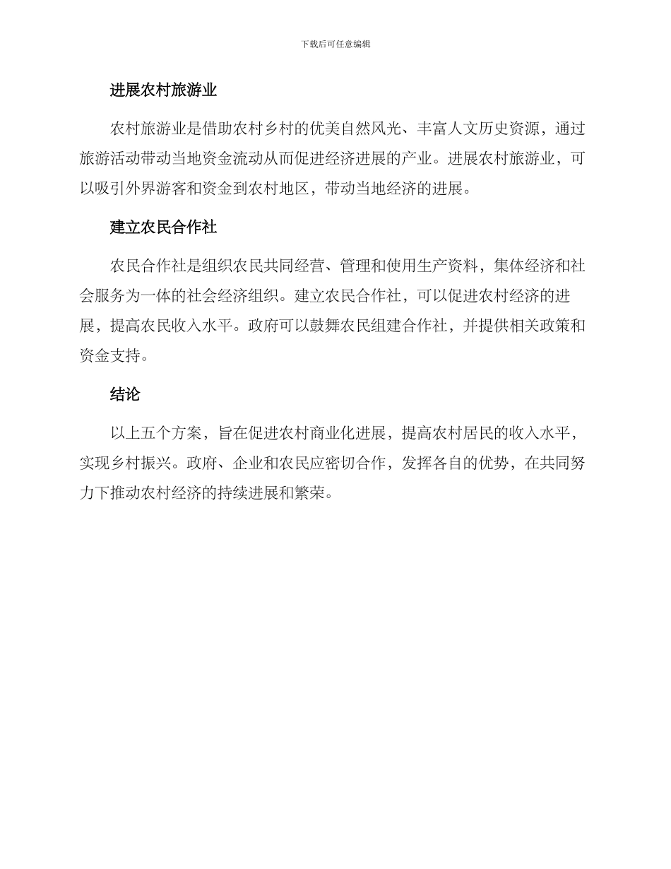 农村商业化发展方案_第2页