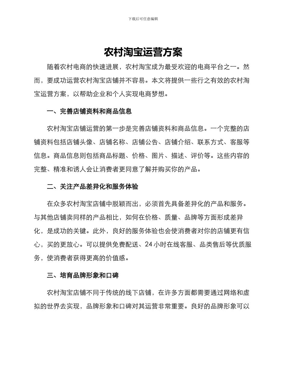 农村淘宝运营方案_第1页