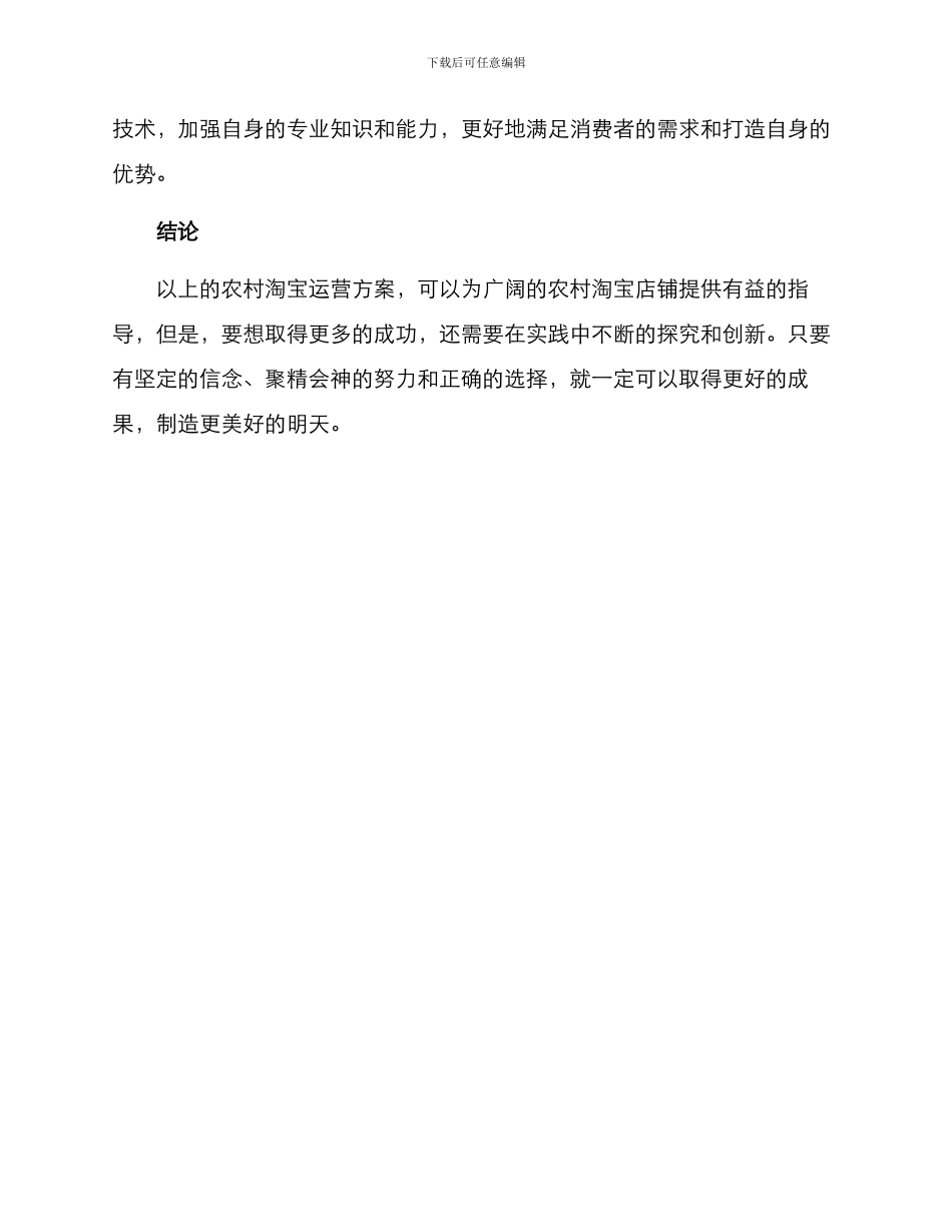 农村淘宝运营方案_第3页