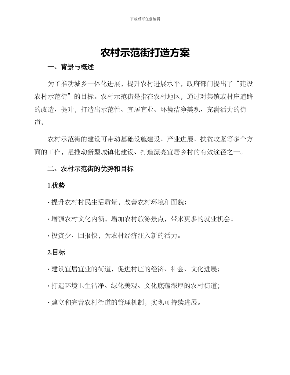 农村示范街打造方案_第1页