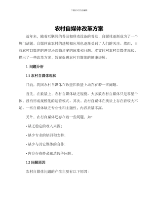 农村自媒体改革方案