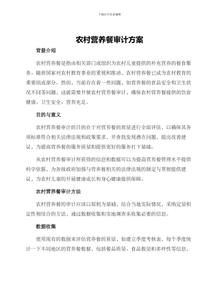 农村营养餐审计方案