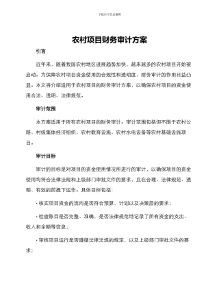 农村项目财务审计方案
