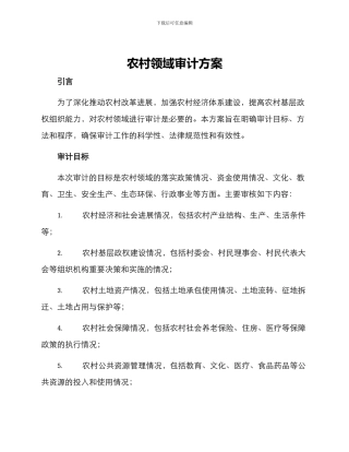 农村领域审计方案