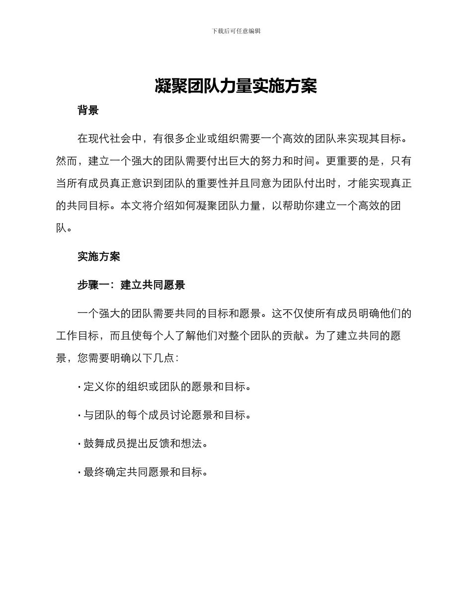 凝聚团队力量实施方案_第1页