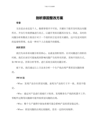 剖析原因整改方案