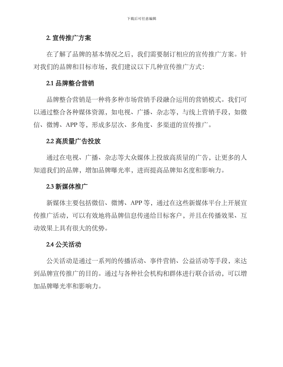 品牌分析宣传推广方案_第2页