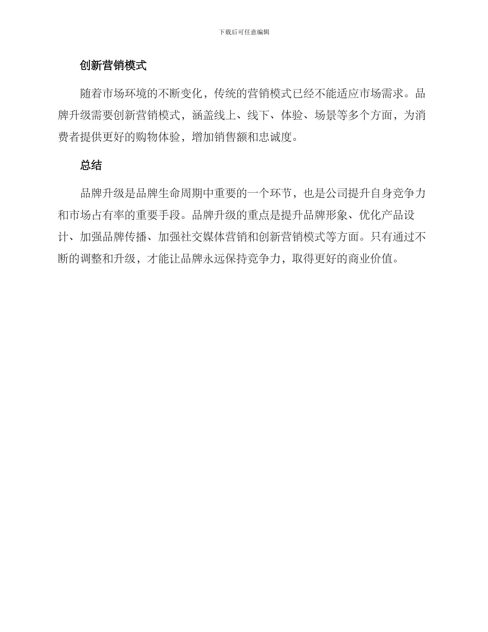 品牌升级措施方案_第3页