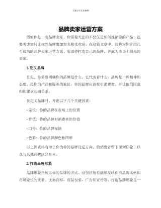 品牌卖家运营方案