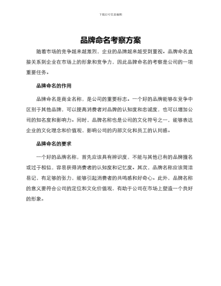 品牌命名考察方案