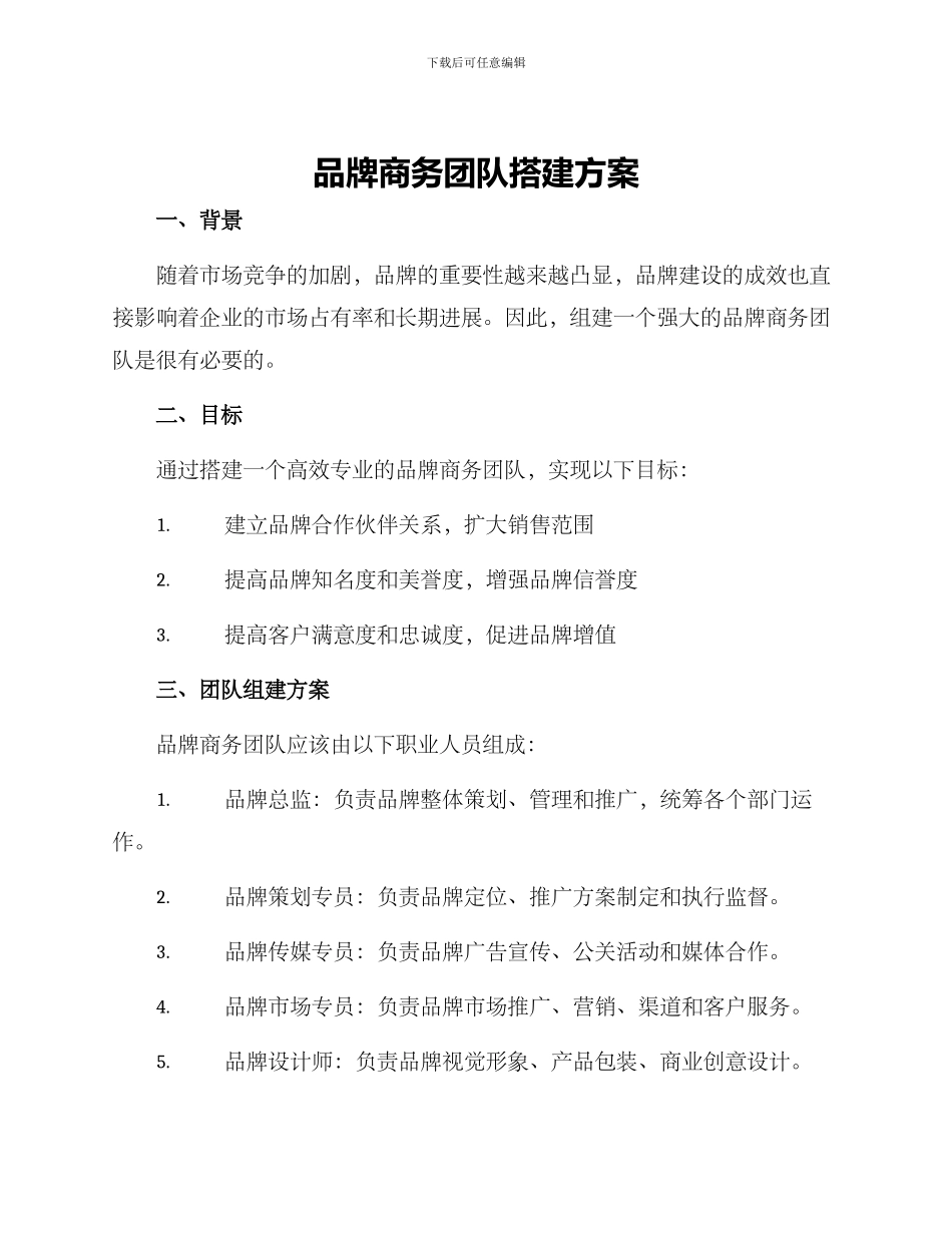 品牌商务团队搭建方案_第1页