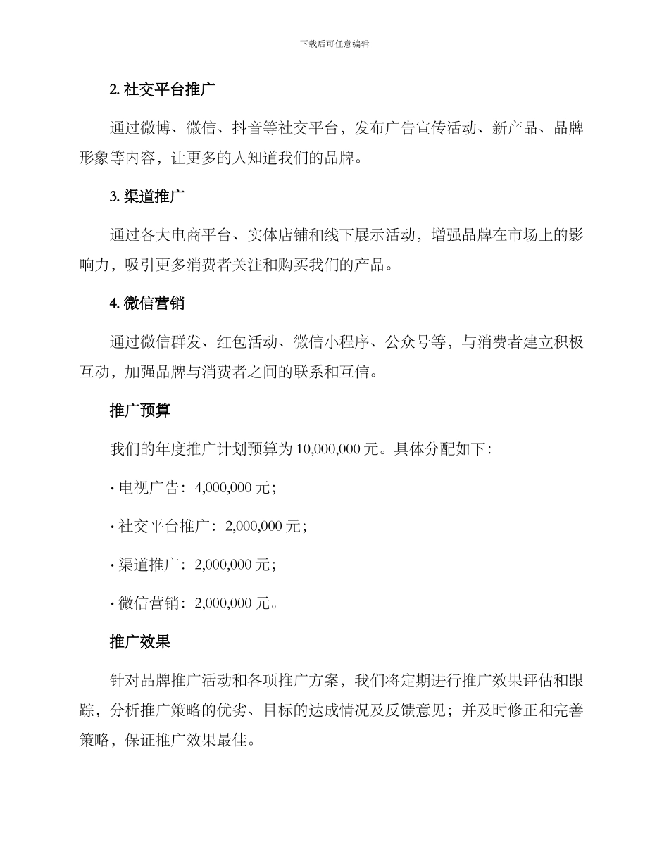 品牌年度推广计划方案_第2页