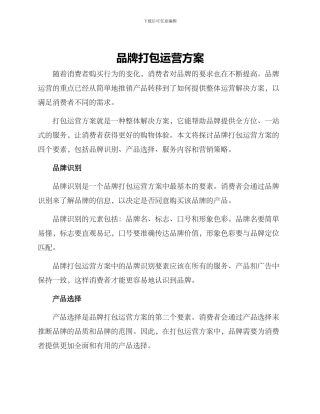 品牌打包运营方案