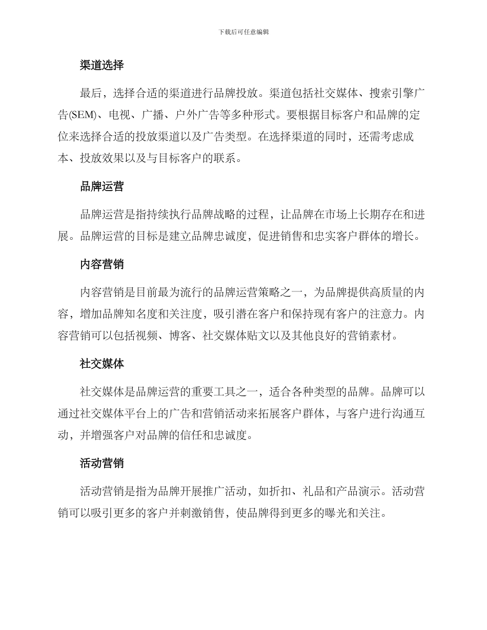 品牌投放运营方案_第2页