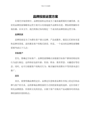 品牌投放运营方案