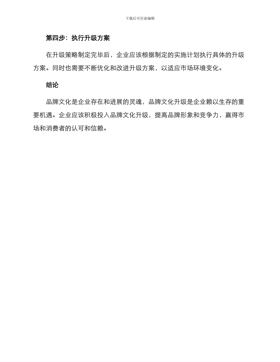 品牌文化升级策划方案_第3页