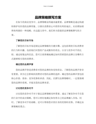 品牌策略撰写方案
