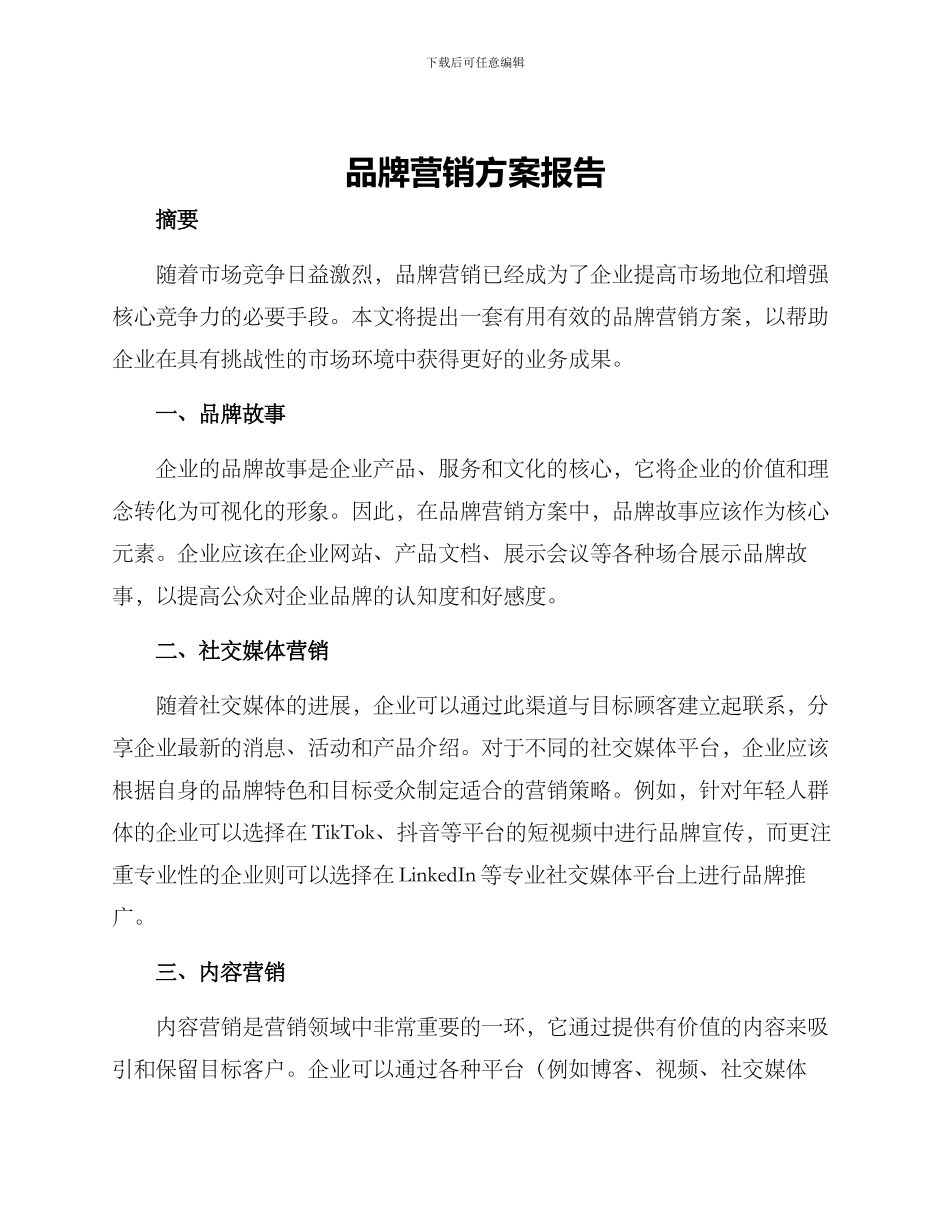 品牌营销方案报告_第1页