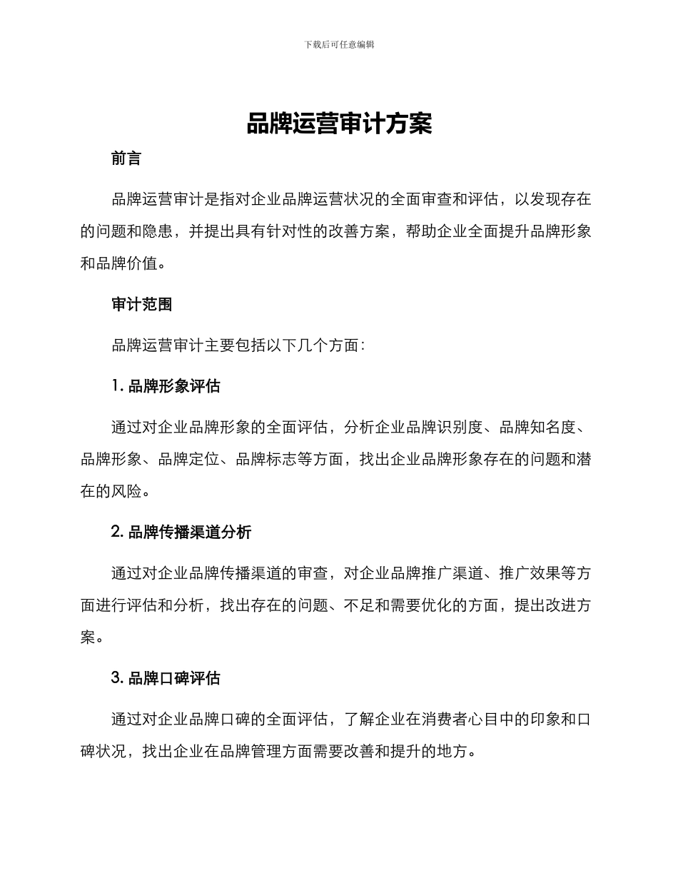 品牌运营审计方案_第1页