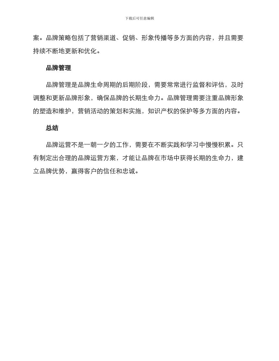 品牌运营方案简洁_第2页