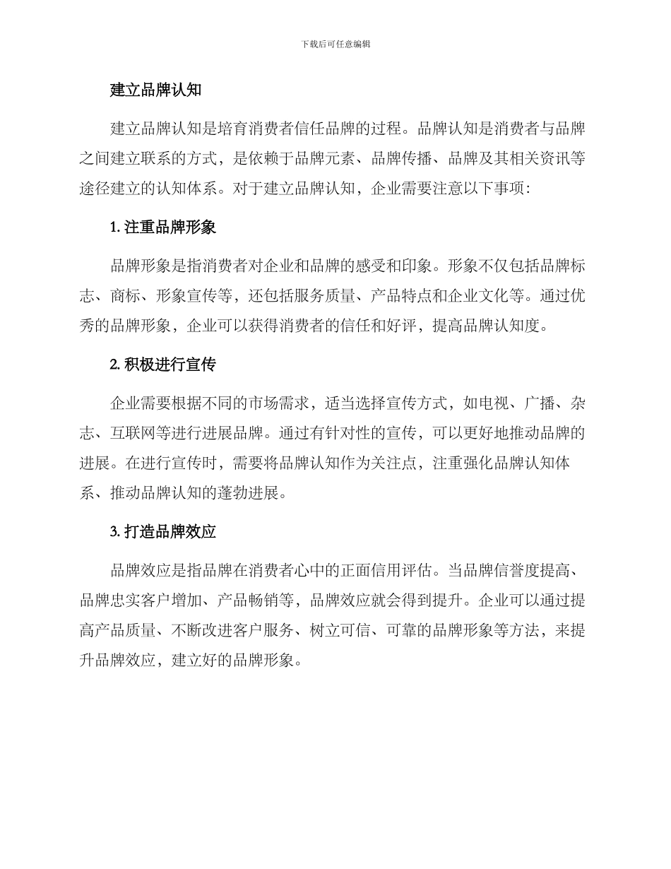 品牌问题指导方案_第2页