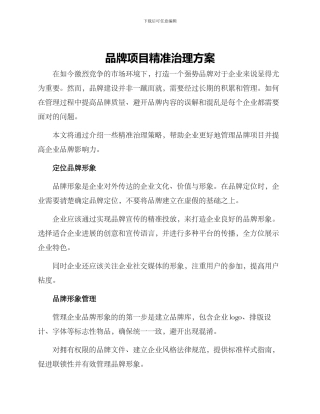 品牌项目精准治理方案