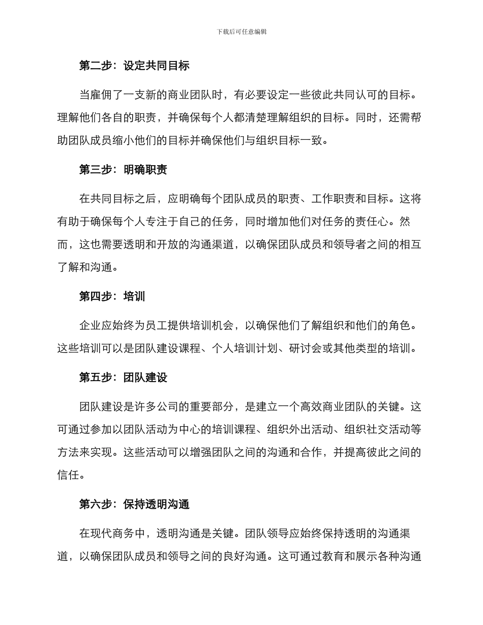 商业团队搭建方案_第2页