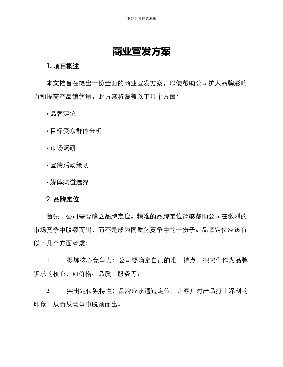 商业宣发方案_第1页