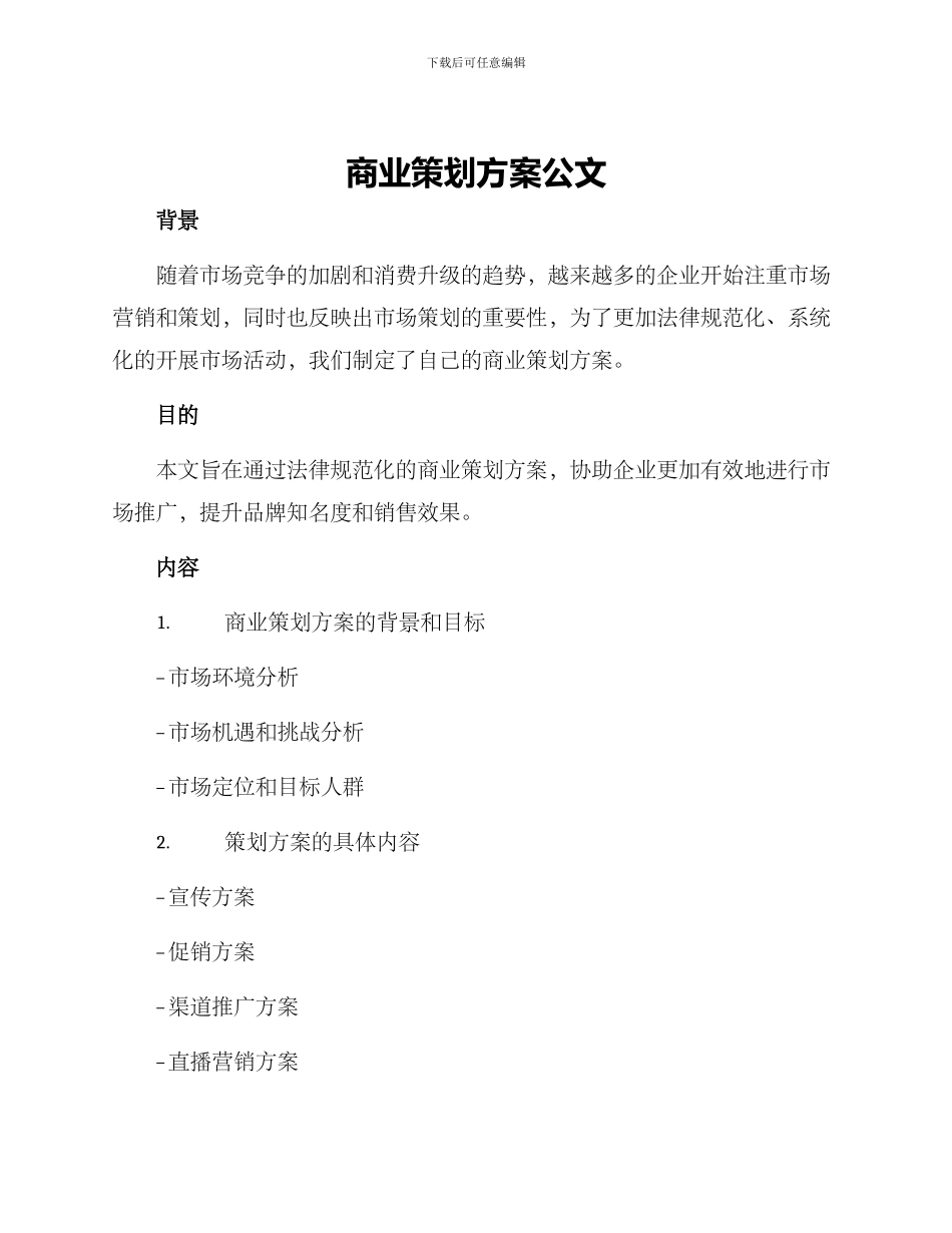 商业策划方案公文_第1页
