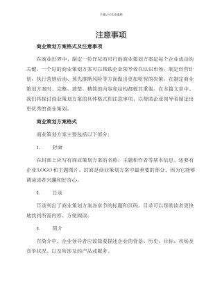 商业策划方案格式及
