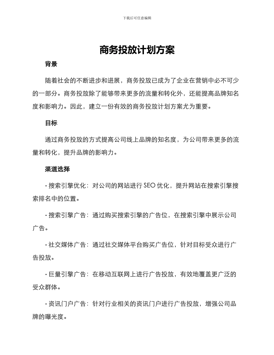 商务投放计划方案_第1页