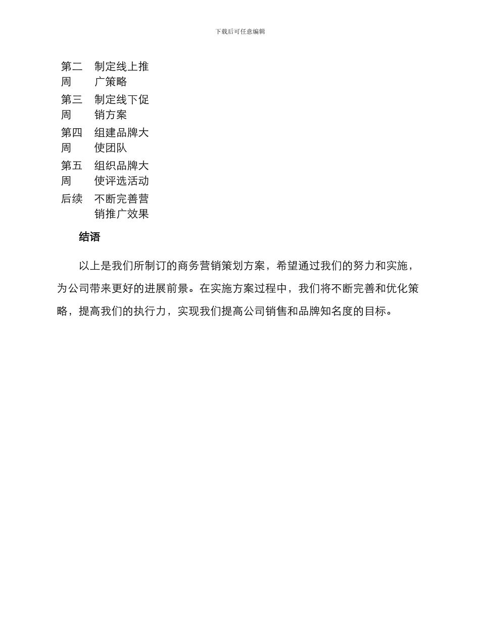 商务营销策划方案_第3页