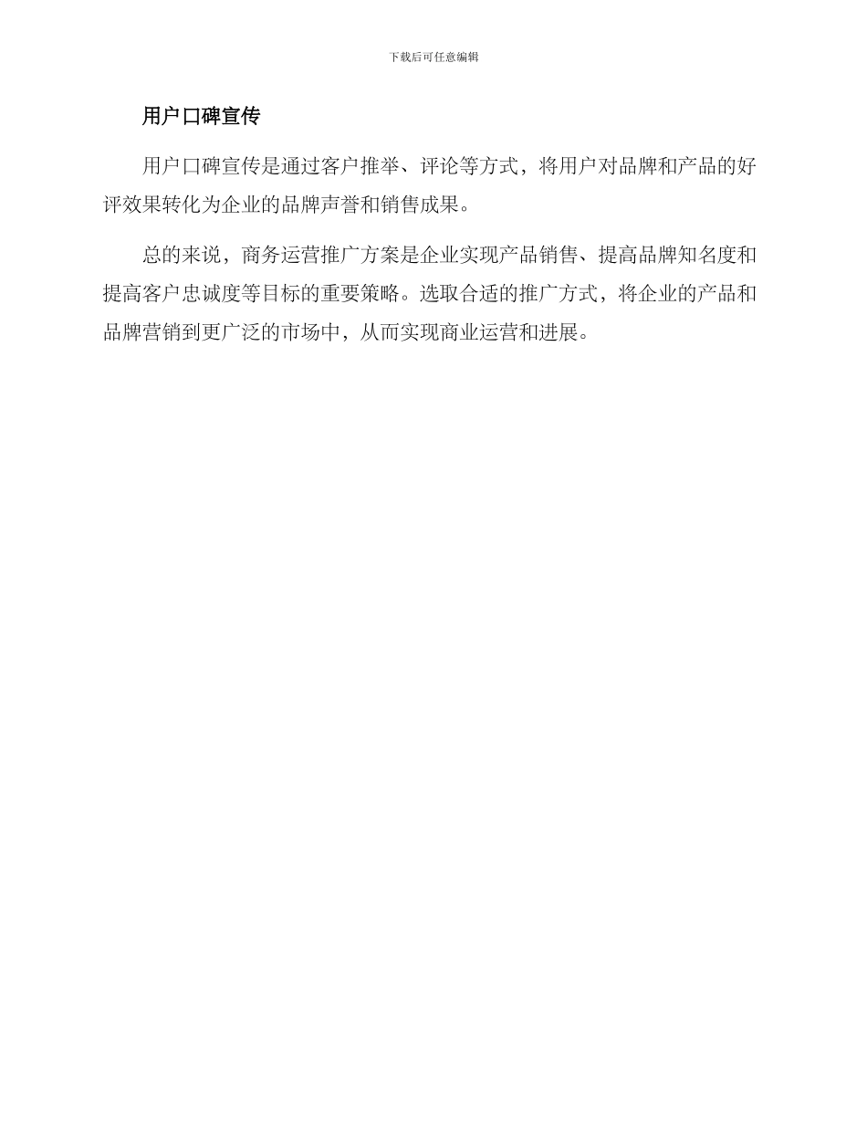 商务运营推广方案_第3页