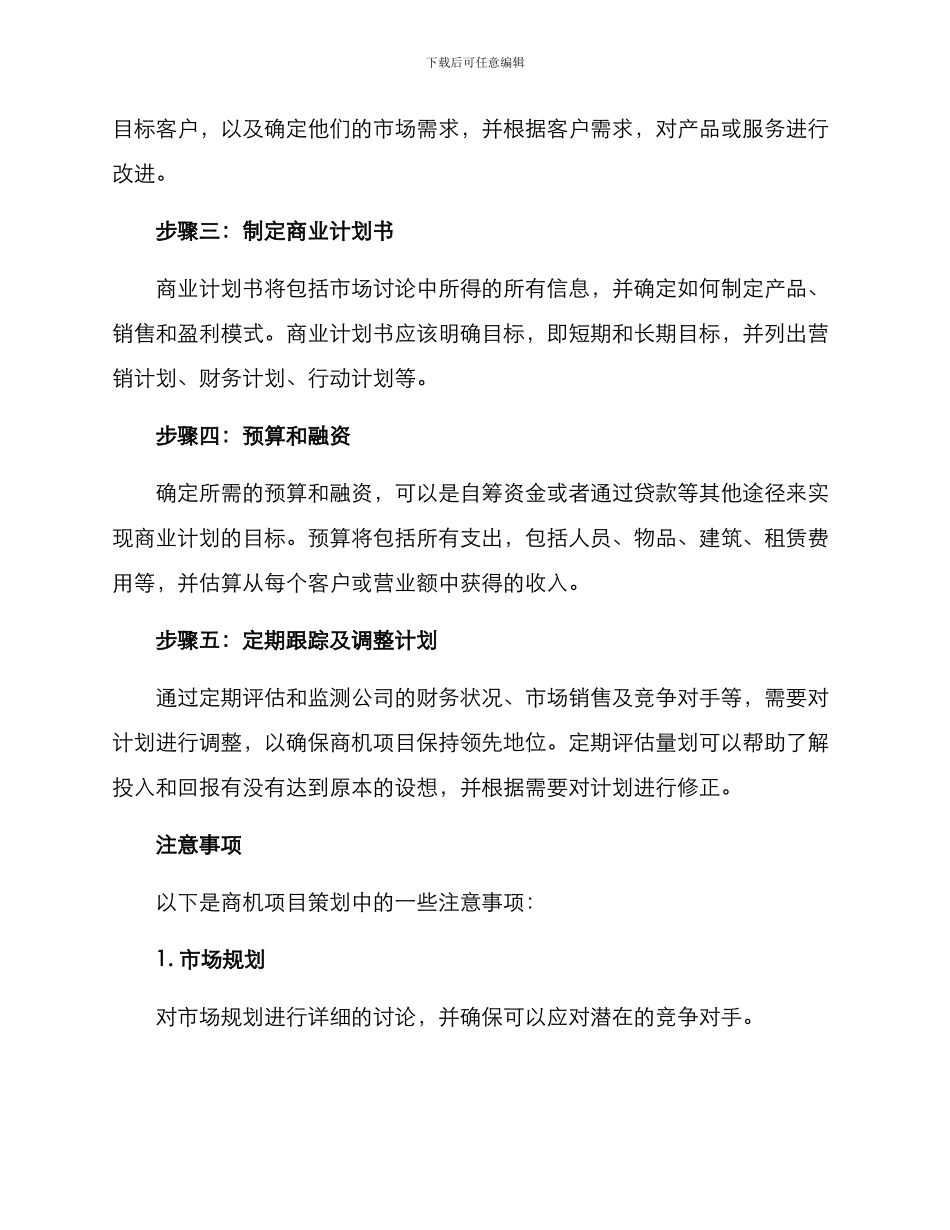 商机项目策划方案_第2页
