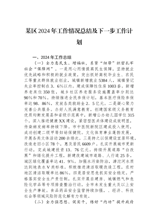 某区2024年工作情况总结及下一步工作计划