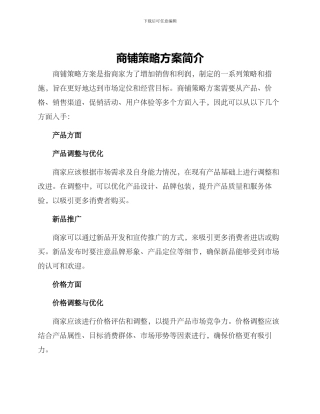 商铺策略方案简单