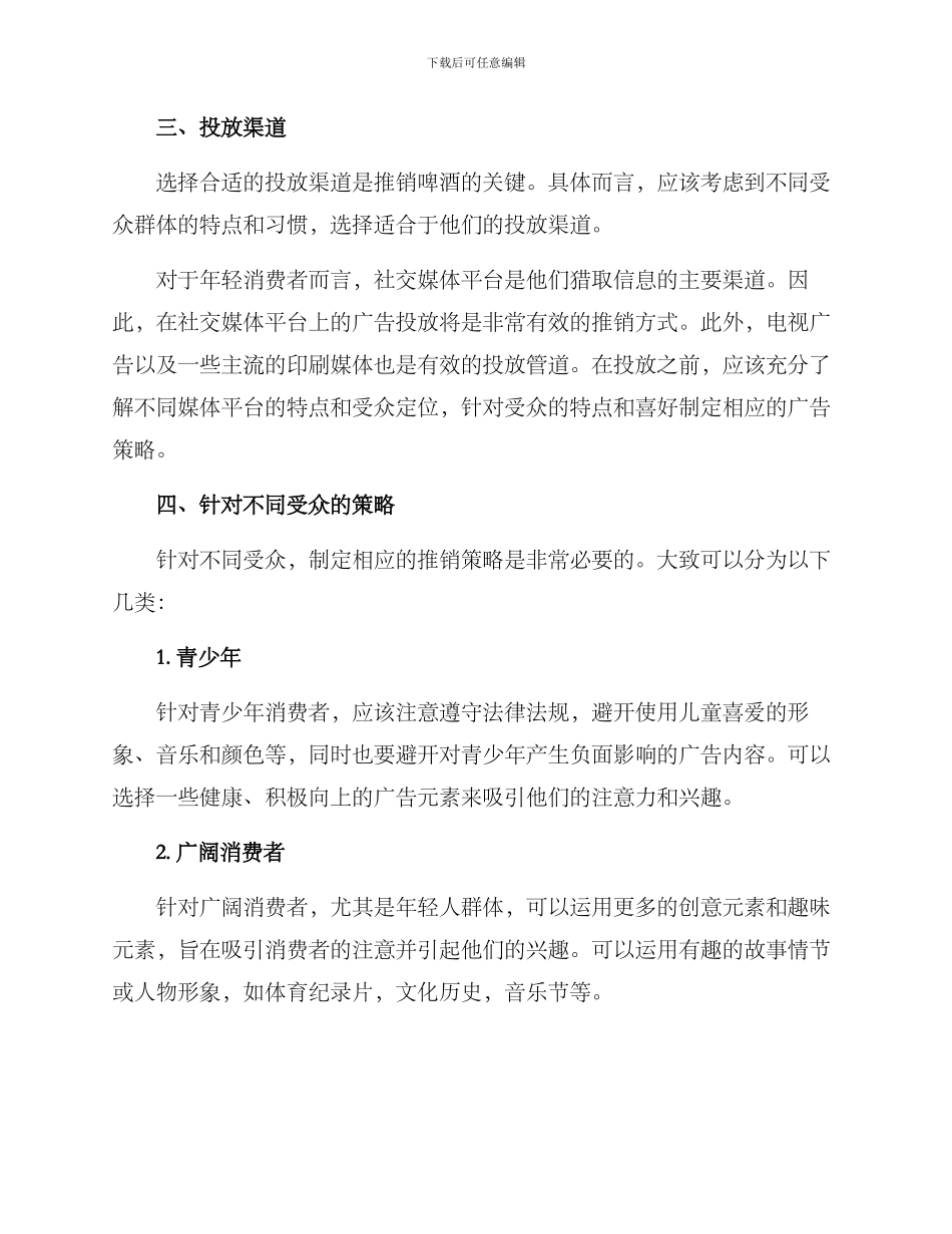 啤酒广告推销方案_第2页