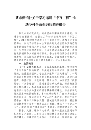 某市供销社关于学习运用“千万工程”推动乡村全面振兴的调研报告