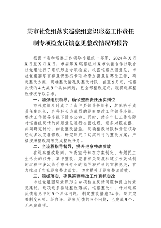 某市社党组落实巡察组意识形态工作责任制专项检查反馈意见整改情况的报告