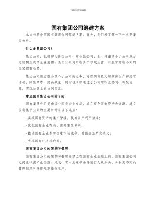 国有集团公司筹建方案